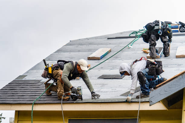 Professional Storm Damage Roof Repair technician working in New Sharon, IA